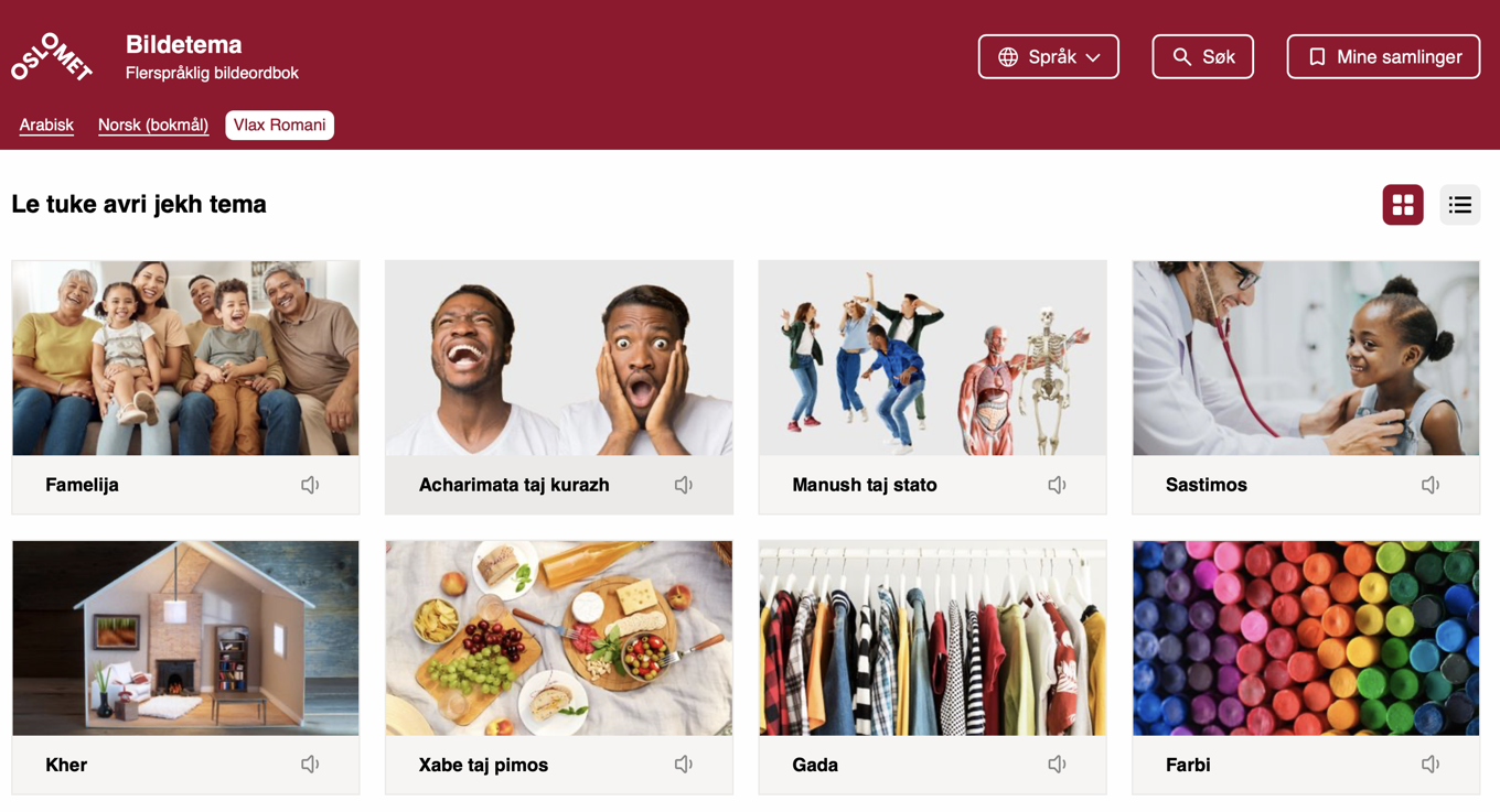 grafisk brukergrensesnitt, nettside